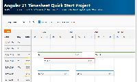 Angular 21 Timesheet Quick Start Project