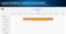 Angular Scheduler: Timeline Customization
